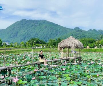 Cập Nhật Thông Tin Khu Du Lịch An Lạc Resort 