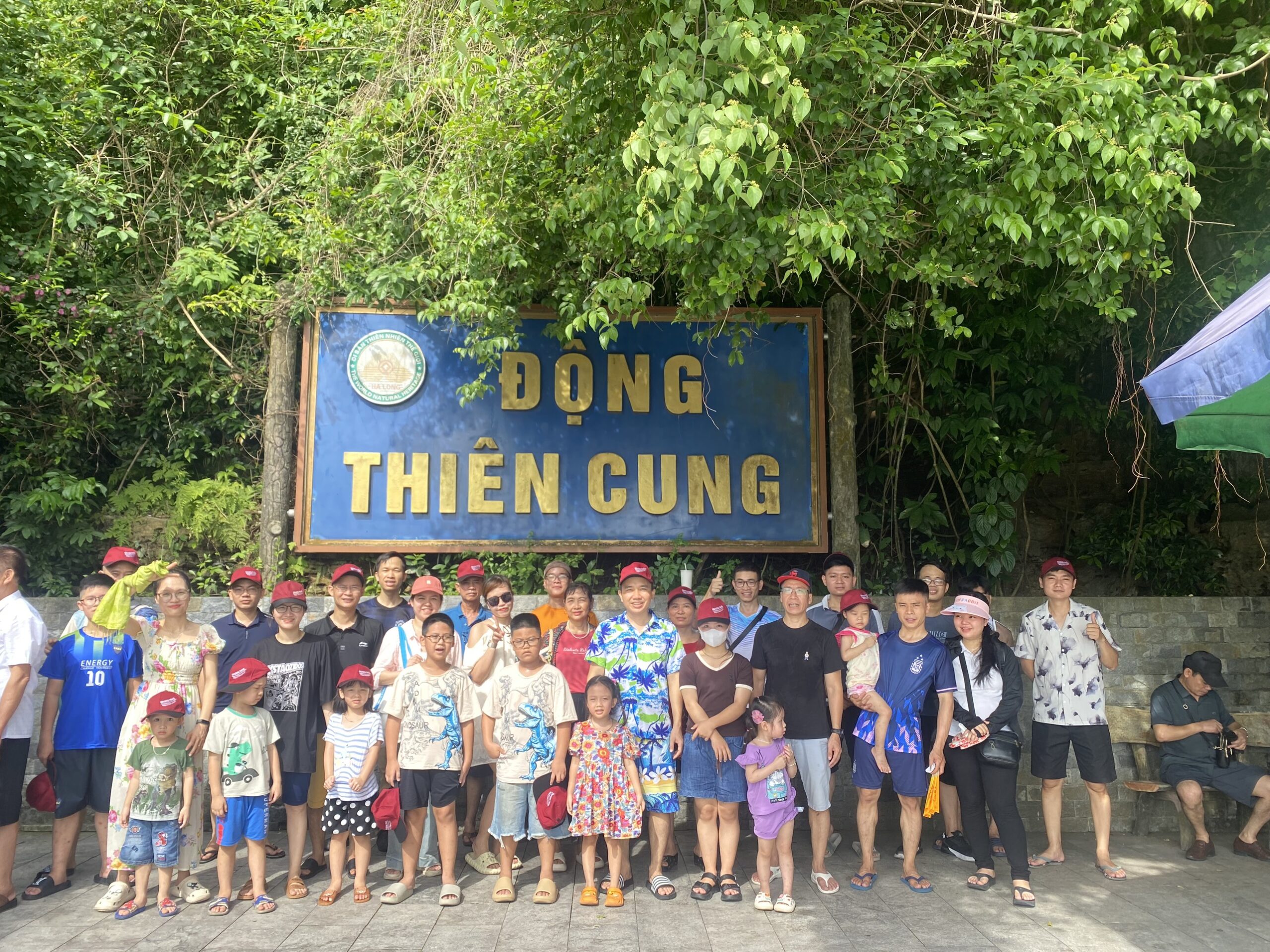 Hướng Dẫn Chi Tiết Đặt Tour Hạ Long 2 Ngày 1 Đêm