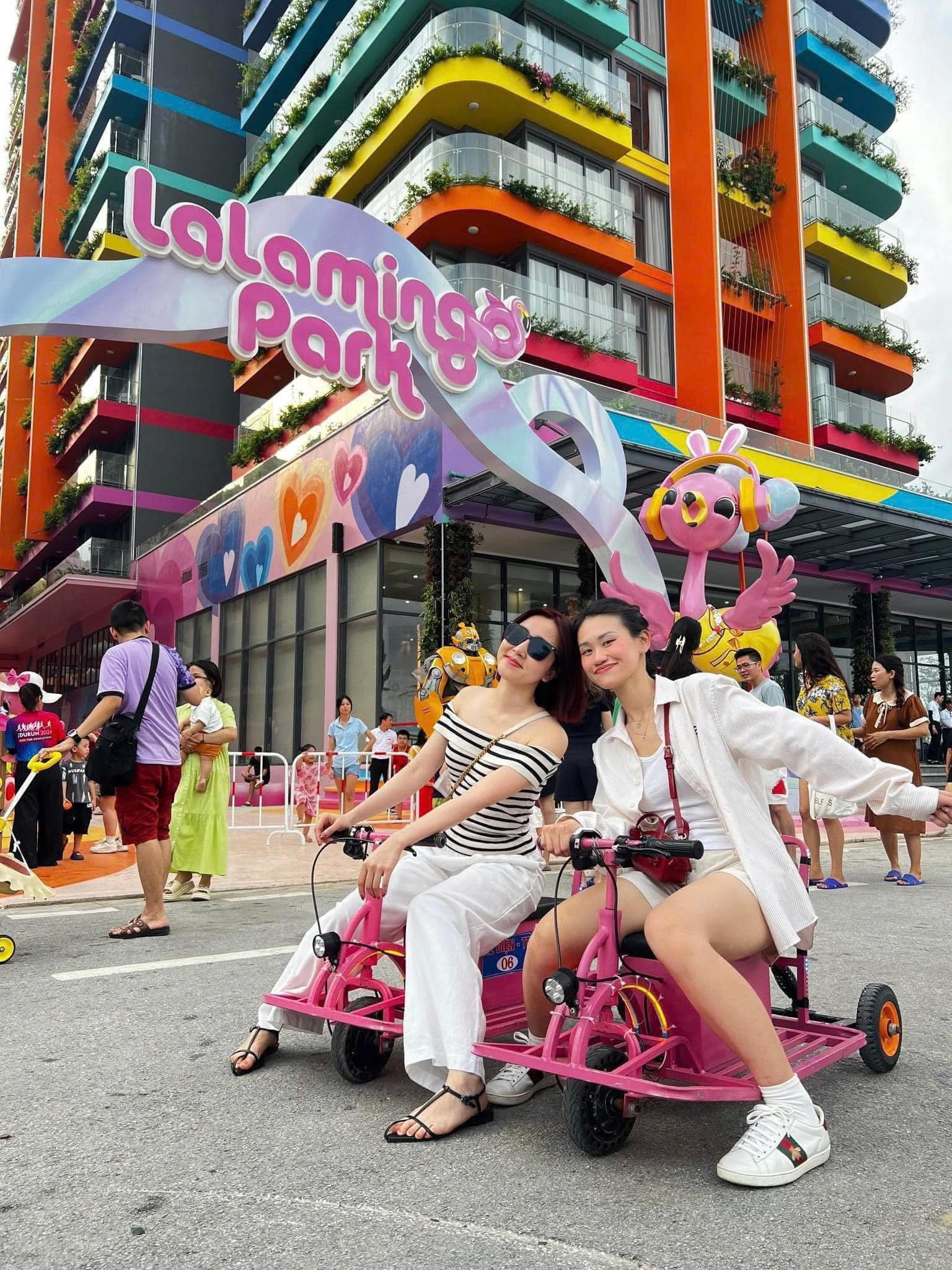 Thời Điểm Lý Tưởng Để Du Lịch Flamingo Hải Tiến
