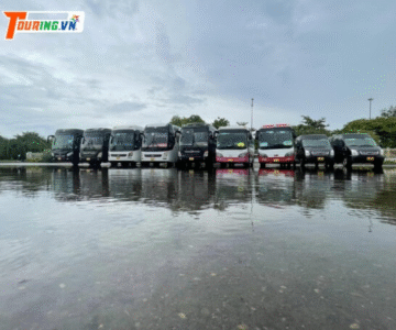 Khám Phá Quy Nhơn Theo Cách Riêng Với Dịch Vụ Thuê Xe Và Tour Tùy Chọn