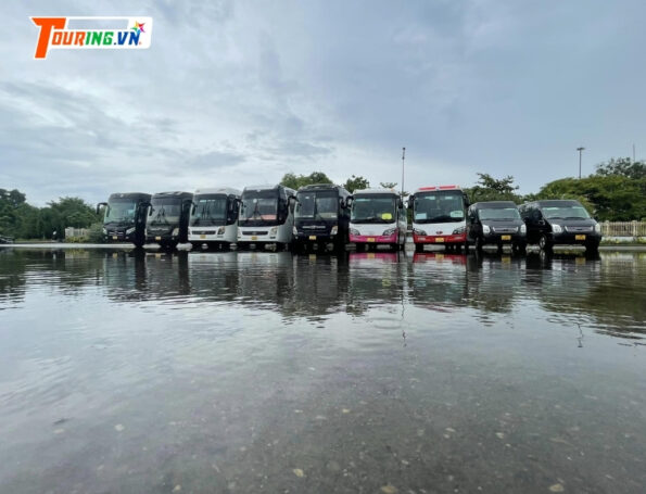 Khám Phá Quy Nhơn Theo Cách Riêng Với Dịch Vụ Thuê Xe Và Tour Tùy Chọn